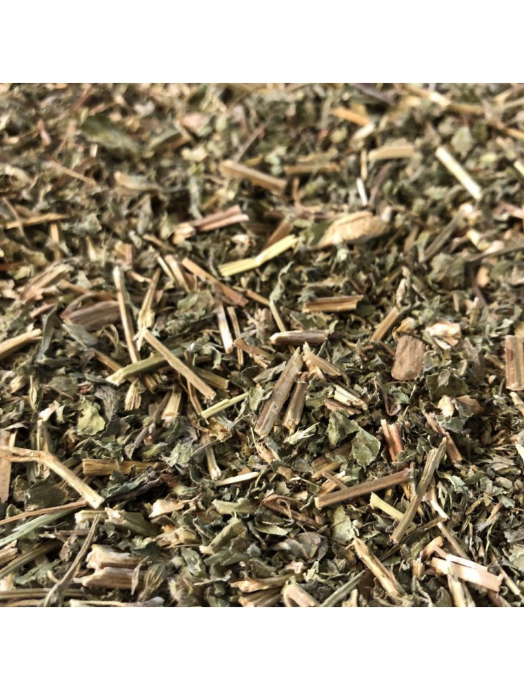 Image principale de la modale pour Mélisse Bio - Partie aérienne coupée 100g - Tisane Melissa officinalis L.