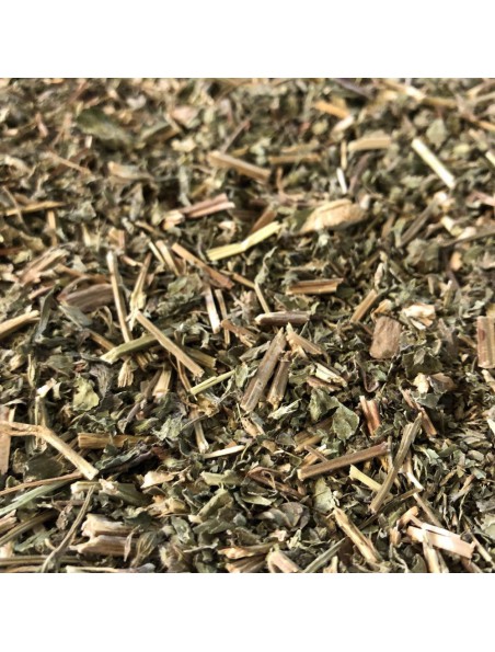 Image principale de Mélisse Bio - Partie aérienne coupée 100g - Tisane Melissa officinalis L.