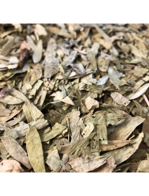 Image de Séné Tinnevelly - Feuilles entières 100g - Tisane de Cassia angustifolia depuis louis-herboristerie