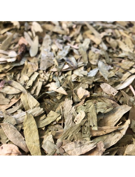 Image principale de Séné Tinnevelly - Feuilles entières 100g - Tisane de Cassia angustifolia