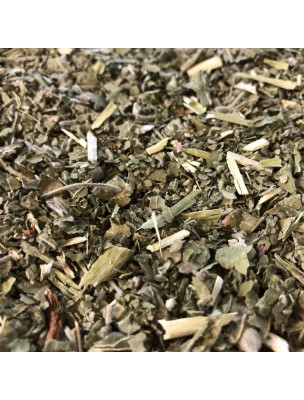 Image de Guimauve Bio - Sommité coupée 100g - Tisane d'Althaea officinalis L. via Violette Bio - Tisane de Viola odorata