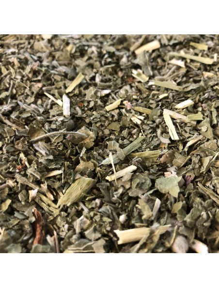 Image principale de Guimauve Bio - Sommité coupée 100g - Tisane d'Althaea officinalis L.