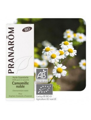 Camomille romaine (noble) Bio - Huile essentielle Chamaemelum nobile 5 ml - Pranarôm