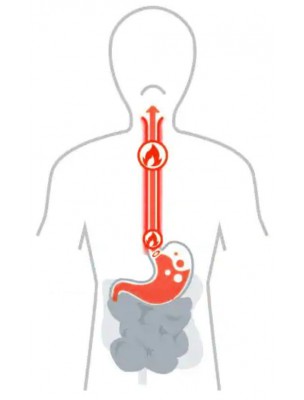 Image de Recipe against the acidity of the stomach - Les Coffrets de l'Herboriste depuis The Herbalist's Boxes (2)