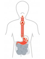 Image de Recette contre l'acidité de l'estomac - Les Coffrets de l'Herboriste depuis Packs d'herboriste - Soins naturels pour une santé optimale