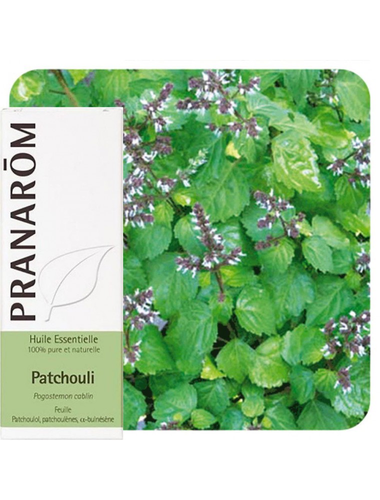 Patchouli - Huile essentielle biologique – Les Âmes Fleurs