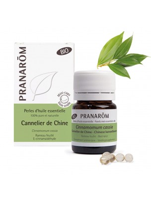 Image de Cannelier de Chine Bio - Perles d'huiles essentielles - Pranarôm depuis Capsules d'huiles essentielles naturelles