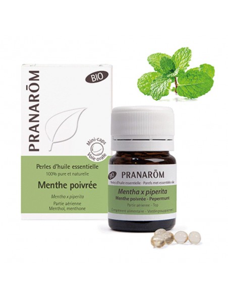 Image principale de Menthe poivrée Bio - Perles d'huiles essentielles - Pranarôm