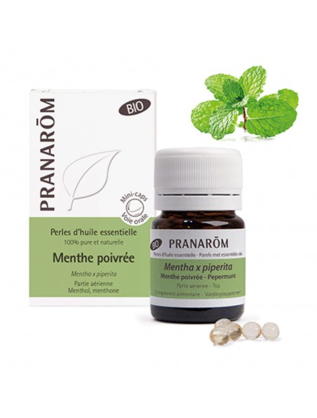 Menthe poivrée Bio - Perles d'huiles essentielles - Pranarôm Menthe poivrée Bio - Perles d'huiles essentielles - Pranarôm
