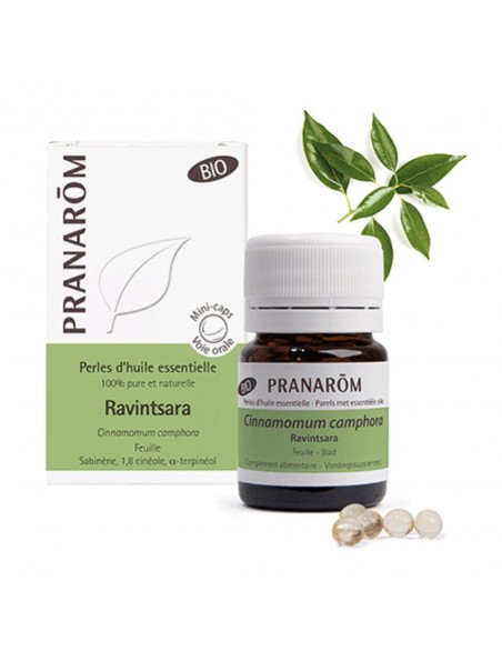 Ravintsara Bio - Perles d'huiles essentielles - Pranarôm Ravintsara Bio - Perles d'huiles essentielles - Pranarôm