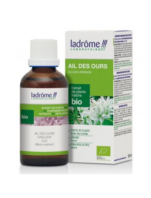 Image de Ail des ours Bio - Circulation Teinture-mère d'Allium ursinum 50 ml - Ladrôme depuis Commandez les produits Ladrôme à l'herboristerie Louis