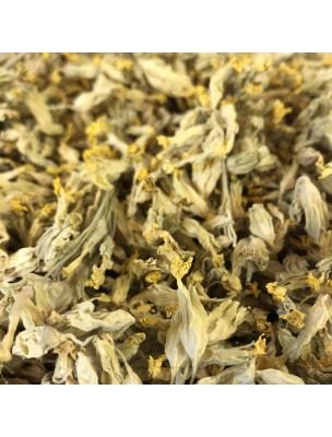 Image de Primevère Bio - Fleurs 50g - Tisane de Primula veris L. depuis louis-herboristerie