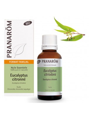 Image de Eucalyptus citronné Bio - Huile essentielle Eucalyptus citriodora 30 ml - Pranarôm via Huile de Massage Aromalgic Bio - Pranarôm