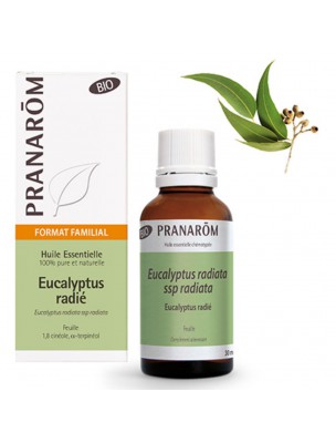 Image de Eucalyptus radié Bio - Huile essentielle Eucalyptus radiata 30 ml - Pranarôm depuis Les huiles essentielles combattant vos allergies