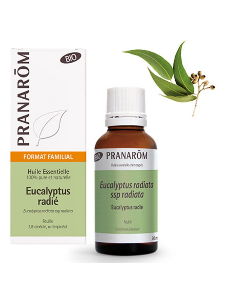 Image principale de la modale pour Eucalyptus radié Bio - Huile essentielle Eucalyptus radiata 30 ml - Pranarôm