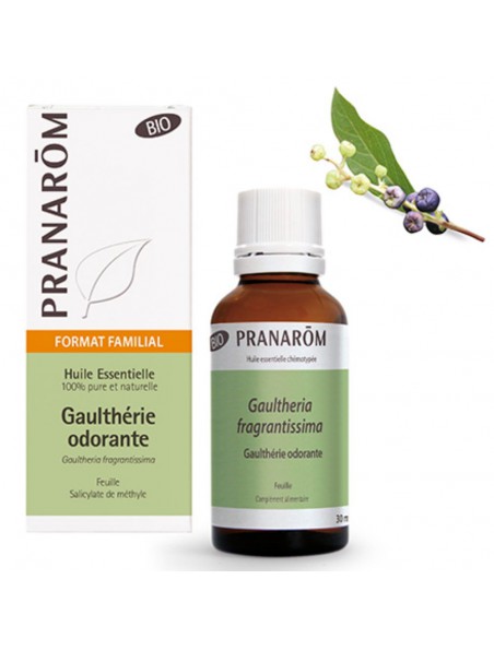 Image principale de Gaulthérie odorante Bio -  Huile essentielle de Gaultheria fragrantissima 30 ml - Pranarôm