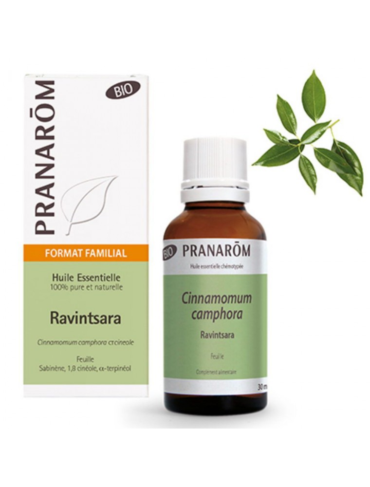Ravintsara Bio - Huile essentielle de Cinnamomum camphora 30 ml - Pranarôm Ravintsara Bio - Huile essentielle de Cinnamomum camphora 30 ml - Pranarôm