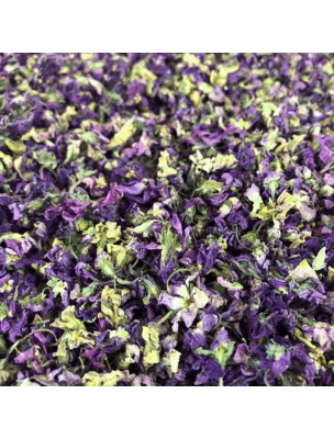 Image de Violette Bio - Fleurs 25g - Tisane de Viola odorata depuis louis-herboristerie