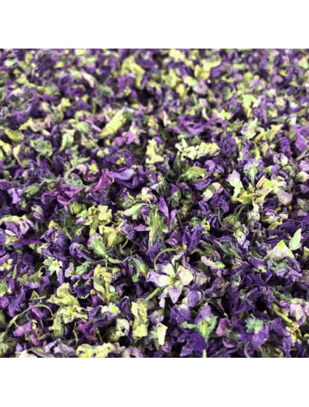 Violette Bio - Fleurs 25g - Tisane de Viola odorata