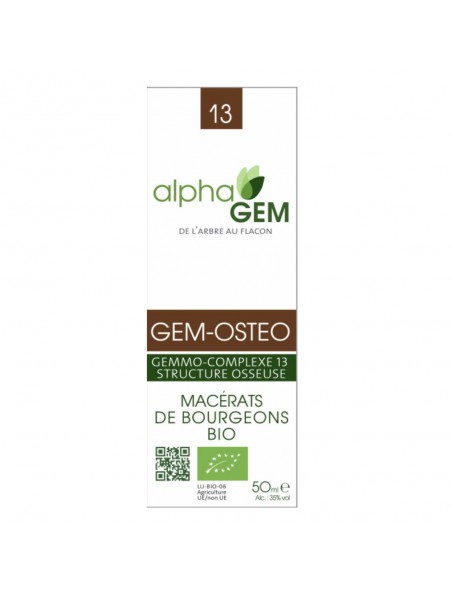 Image principale de Gem-Osteo Complexe n°13 Bio - Structure osseuse 50 ml - Alphagem