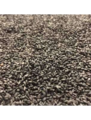 Image de Nigelle (Cumin noir) Bio - Graine 100g - Tisane de Nigella sativa L. depuis louis-herboristerie