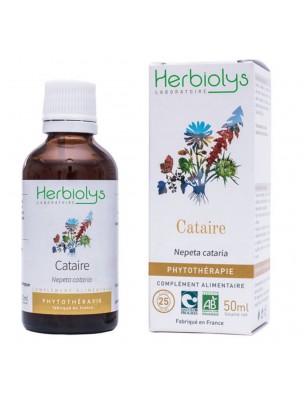 Image de Cataire Bio - Digestion Teinture-mère de Nepata cataria 50 ml - Herbiolys depuis Basilic Exotique Bio - Huile essentielle 10ml - Pranarôm