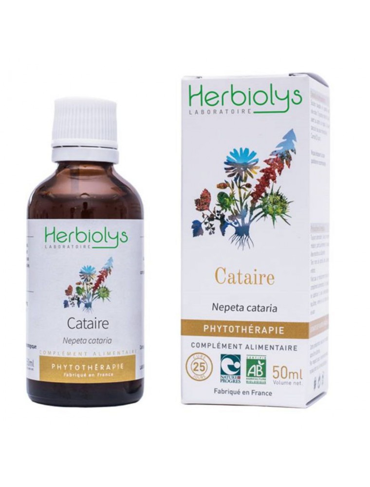 Image principale de la modale pour Cataire Bio - Digestion Teinture-mère de Nepata cataria 50 ml - Herbiolys