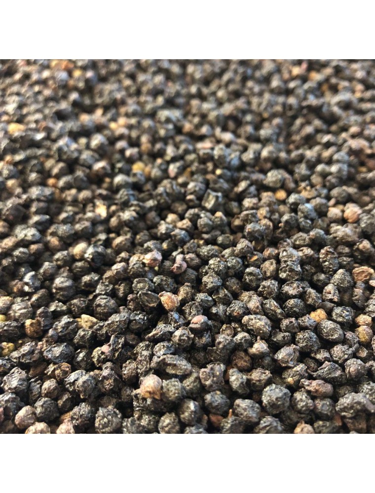 Image principale de la modale pour Sureau Bio - Fruit 100g - Tisane de Sambucus nigra L.