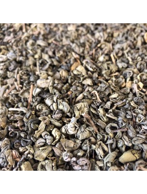 Image de Thé vert Bio - Feuilles 100g - Thea sinensis L. depuis ▷▷ Tisanes de plantes commençant par la lettre T