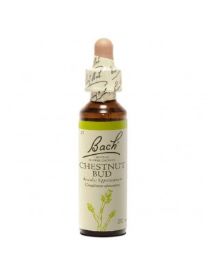 Image de Chestnut Bud No. 7 - Repeating the same mistakes 20 ml - Flowers of Bach Original depuis Buy the products Bach at the herbalist's shop Louis