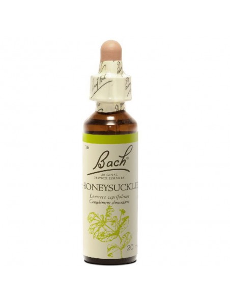 Honeysuckle (Chèvrefeuille) N° 16 - Nostalgie 20ml - Fleurs de Bach Original Honeysuckle (Chèvrefeuille) N° 16 - Nostalgie 20ml - Fleurs de Bach Original