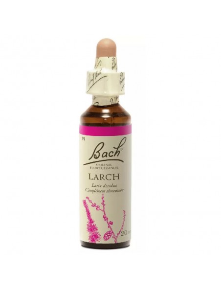 Larch (Mélèze) N°19 - Confiance en soi 20ml - Fleurs de Bach Original Larch (Mélèze) N°19 - Confiance en soi 20ml - Fleurs de Bach Original