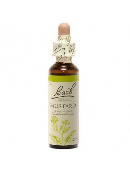 Mustard (Moutarde) N° 21 - Profonde tristesse 20ml - Fleurs de Bach Original Mustard (Moutarde) N° 21 - Profonde tristesse 20ml - Fleurs de Bach Original