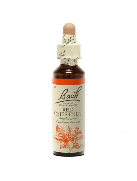 Red Chestnut (Châtaigne rouge) N°25 - Craintes pour ses proches 20ml - Fleurs de Bach Original Red Chestnut (Châtaigne rouge) N°25 - Craintes pour ses proches 20ml - Fleurs de Bach Original