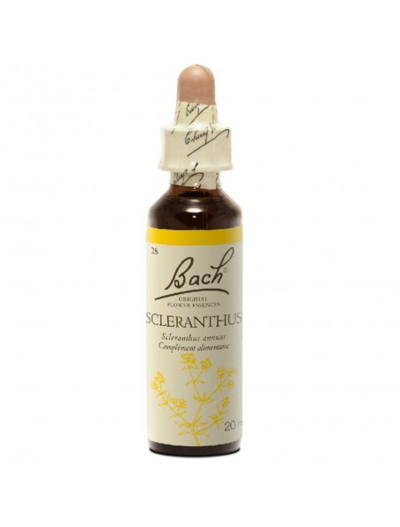 Scleranthus (Alène) N° 28 - Incertitude 20ml - Fleurs de Bach Original Scleranthus (Alène) N° 28 - Incertitude 20ml - Fleurs de Bach Original