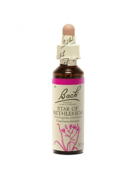 Star of Bethlehem (Etoile de Bethlehem) N°29 - Chagrin et Deuil 20ml - Fleurs de Bach Original Star of Bethlehem (Etoile de Bethlehem) N°29 - Chagrin et Deuil 20ml - Fleurs de Bach Original