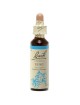 Vine (Vigne) N°32 - Autoritaire 20ml - Fleurs de Bach Original