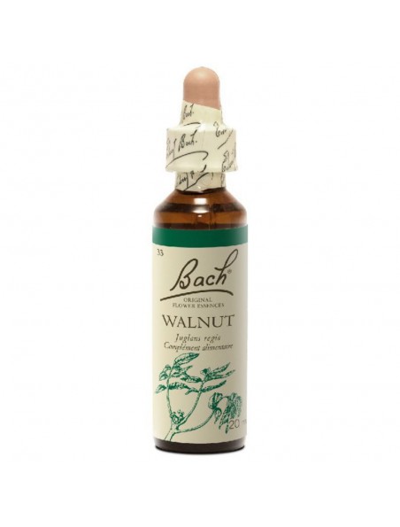 Walnut (Noyer) N°33 - Besoin de protection 20ml - Fleurs de Bach Original Walnut (Noyer) N°33 - Besoin de protection 20ml - Fleurs de Bach Original