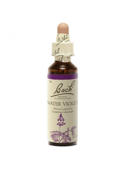 Water Violet (Violette d'eau) N°34 - Solitude 20ml - Fleurs de Bach Original Water Violet (Violette d'eau) N°34 - Solitude 20ml - Fleurs de Bach Original