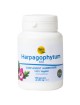 Harpagophytum Bio - Articulations 120 gélules végétales - Nature et Partage