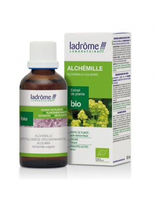 Image de Alchémille Bio - Cycle menstruel Teinture-mère d'Alchemilla vulgaris 50 ml - Ladrôme depuis Produits de phytothérapie en ligne (4)