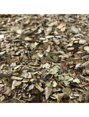 Image de Boldo Bio - Feuille coupée 100g - Tisane de Peumus boldus Molina via Cardamome - Fruit entier 100g - Tisane d'Elettaria cardamomum