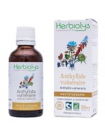 Image de Anthyllide vulnéraire Bio - Digestion et Peau Teinture-mère d'Anthyllis vulneraria 50 ml - Herbiolys depuis Achetez des teintures mères unitaires pour votre bien-être | Phyto&Herba (2)