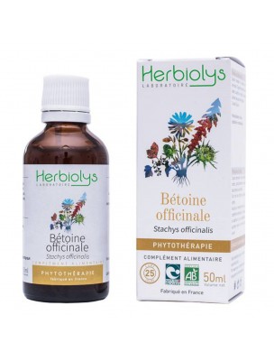 Image de Bétoine officinale Bio - Digestion Teinture-mère de Syachys officinalis 50 ml - Herbiolys via Cardamome Bio - Fruit entier 100g