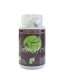 Image de Immufor - Immunity 80 capsules - SND Nature via Buy Allergor - Seasonal Sensitivity 90 capsules - SND
