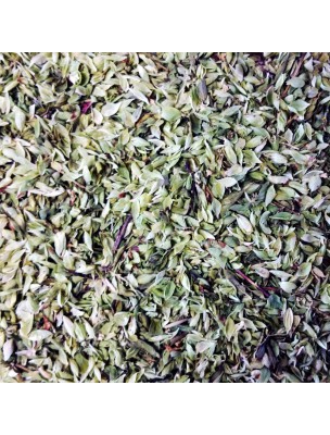 https://www.louis-herboristerie.com/28197-home_default/organic-oregano-essential-oil-beads-pranarom.jpg