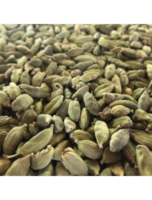 Image de Cardamom - Whole Fruit 100g - Herbal Tea from Elettaria cardamomum depuis Buy your natural and organic spices and herbs here