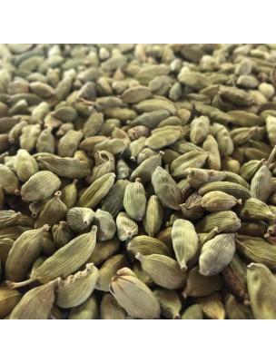 Image de Cardamom - Whole Fruit 100g - Herbal Tea from Elettaria cardamomum depuis Spices and plants accompany you in the kitchen