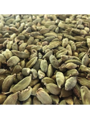 Image de Cardamome - Fruit entier 100g - Tisane d'Elettaria cardamomum via Laurier noble Bio - 50g - Tisane de Laurus nobilis L.