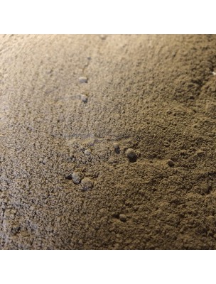 Image de Cannelle Bio - Poudre 100 g - Tisane de Cinnamomum verum J. Presl depuis louis-herboristerie